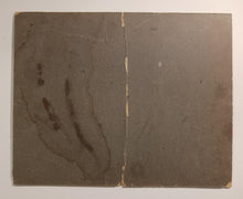 Load image into Gallery viewer, 1919 Niagara Falls Baseball Team Cabinet Portraits