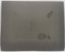 Load image into Gallery viewer, 1900 South Assessors Dumfries County Clerk Thesaurus Group Photo