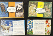 Load image into Gallery viewer, 1970 Illustrations Sticker Book Lot of 4 Complete, Animals, Wild Life, Flower