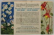 Load image into Gallery viewer, 1970 Illustrations Sticker Book Lot of 4 Complete, Animals, Wild Life, Flower