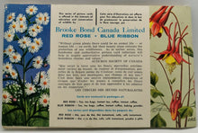 Load image into Gallery viewer, 1972-1974 Sticker Book Lot of 3, Wild Flower, Indians, Animals