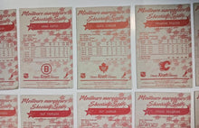 Load image into Gallery viewer, 1995-96 Kraft Dinner Hockey Hand Cut Collectors 3 1/2 x 5 1/4" Cards Lot of 24