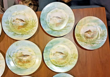 Load image into Gallery viewer, Limoges A.F France Porcelain Plate Set of 17 - Varies of Fish Patterns