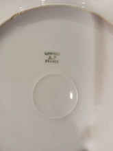 Load image into Gallery viewer, Limoges A.F France Porcelain Plate Set of 17 - Varies of Fish Patterns