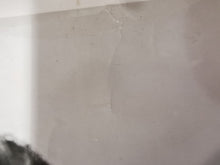 Load image into Gallery viewer, Natalie Core Signed Autograph 8x10 Photo