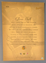 Load image into Gallery viewer, Glenn Hall Auto "Bee Hive" #228 Framed Card - Avalanche