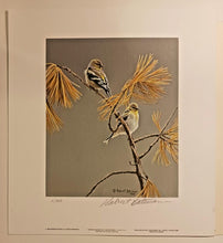 Load image into Gallery viewer, American Goldfinch - Winter Dress, Robert Bateman Signed Print 9 3/4" x 10"