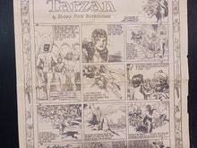 Load image into Gallery viewer, 1943 The Moncton Daily Times Sunday Pages Tarzan & Mickey Mouse Comics