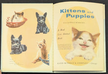 Load image into Gallery viewer, Kittens and Puppies by Peggy Burrows (1959, Rand McNally Elf Book)