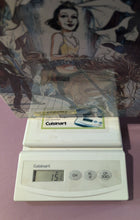 Load image into Gallery viewer, The Magician's Wife Graphic Novel by Jerome Charyn & Francois Boucq