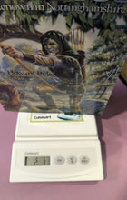 Load image into Gallery viewer, 1989 The Merry Adventures of Robin Hood TBP by Howard Pyle