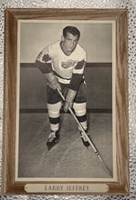 Load image into Gallery viewer, Vintage 1964-67 Larry Jeffrey Detroit Red Wings Hockey Beehive Photo