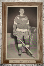 Load image into Gallery viewer, Vintage 1964-67 Alex Delvecchio Detroit Red Wings Captain Hockey Beehive Photo
