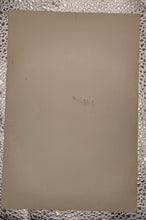 Load image into Gallery viewer, Vintage 1964-67 Terry Sawchuk Hockey Goalie Beehive Photo