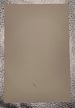 Load image into Gallery viewer, Vintage 1964-67 Allan Stanley Black & White Hockey Beehive Photo