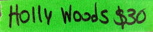 Load image into Gallery viewer, Holly Woods Signed Autograph Type-1 Polaroid Photo 80s Rock Singer Band Toronto