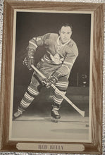 Load image into Gallery viewer, 1964-67 Bee Hive Group 3 Hockey Photo Red Kelly Toronto Maple Leafs HOF