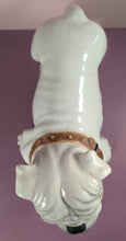 Load image into Gallery viewer, Vintage White Ceramic English Bulldog Figurine Dog Statue with Brown Collar