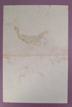 Load image into Gallery viewer, Vintage Cameron & Moore Goderich ON "Style-Craft" Fall Clothing Ad c. 1909