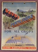 Load image into Gallery viewer, Vintage Circa 1928 A. Baur & Co. Fertilisers Ceylon Stone Display Sign