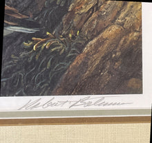 Load image into Gallery viewer, Robert Bateman Ruddy Turnstones 1979 Signed Limited Edition Print 667/950