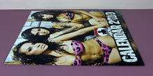 Load image into Gallery viewer, Metal Hammer Maidens of Metal 2010 Calendar - Defenders Of The Faith