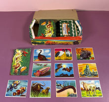 Load image into Gallery viewer, Vintage Wonders of the Animal Kingdom Trading Cards Display Box (57 Packs)
