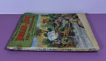 Load image into Gallery viewer, 1908 Beadle's Frontier Series #25 Indian Jim: A Tale of the Minnesota Massacre