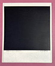Load image into Gallery viewer, Autographed Polaroid Photo Aniko Farrell & Peter Palmer