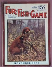 Load image into Gallery viewer, Fur-Fish-Game Magazine November 1937 - Irish Setter with Pheasant Cover