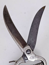 Load image into Gallery viewer, Vintage Solingen Hand Held Shears – Made In Germany