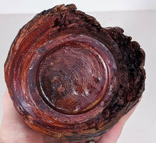 Load image into Gallery viewer, Solid Burlwood Bottle – With Lid – Mid-Century