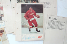 Load image into Gallery viewer, 1971 Toronto Sun 15 pc Hockey Lot - New York, Philadelphia, Etc.