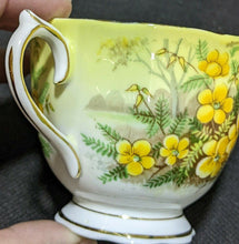 Load image into Gallery viewer, ROYAL ALBERT Fine Bone China Cup & Saucer - Partridge Pea - Yellow & Gold