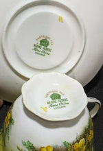 Load image into Gallery viewer, ROYAL ALBERT Fine Bone China Cup & Saucer - Partridge Pea - Yellow & Gold