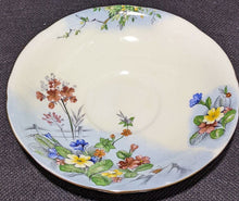 Load image into Gallery viewer, AYNSLEY Fine Bone China Corset Cup & Saucer - Wild Spring Flowers - Cream & Blue