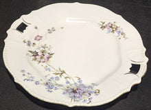 Load image into Gallery viewer, Vintage Bone China Cake Plate - Floral Bouquet Detail - 10"