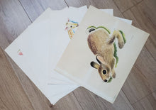 Load image into Gallery viewer, Set of 6 Famous Aylmer Animal Prints – In Original Mailing Envelope