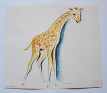 Load image into Gallery viewer, Set of 6 Famous Aylmer Animal Prints – In Original Mailing Envelope