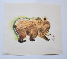 Load image into Gallery viewer, Set of 6 Famous Aylmer Animal Prints – In Original Mailing Envelope