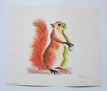 Load image into Gallery viewer, Set of 6 Famous Aylmer Animal Prints – In Original Mailing Envelope