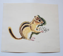 Load image into Gallery viewer, Set of 6 Famous Aylmer Animal Prints – In Original Mailing Envelope