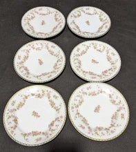 Load image into Gallery viewer, Large Mixed Lot of 25 Bridal Rose pattern Chinaware Plates - Dealer Lot!!!