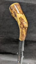 Load image into Gallery viewer, Wooden Cane / Walking Stick - Unique Design / Painting - Brass Tip - 34"
