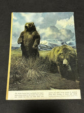 Load image into Gallery viewer, Dell Comics The Lone Ranger #45, VG+