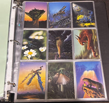 Load image into Gallery viewer, 1994 Tim White set of 90 cards complete, EX condition
