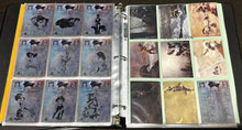 Load image into Gallery viewer, 1993 Jeffrey Jones Set of 90 Cards Complete, EX
