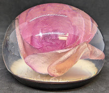 Load image into Gallery viewer, 4 Assorted Floral / Insect Paperweights Red, Yellow & Peach Roses