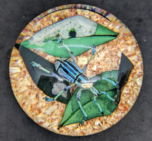 Load image into Gallery viewer, 4 Assorted Floral / Insect Paperweights Red, Yellow & Peach Roses