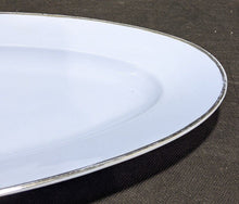 Load image into Gallery viewer, Blue With Platinum Rim Oval Fish Serving Platter by Johann Haviland